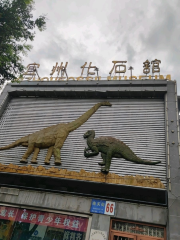 宜州化石館