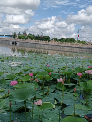 Xinhua Farm Water Park