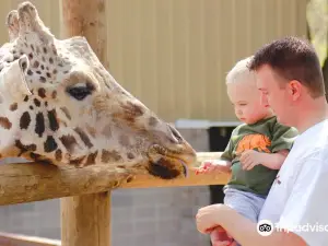 Dickerson Park Zoo