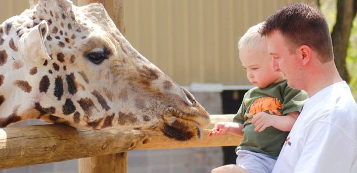 Dickerson Park Zoo