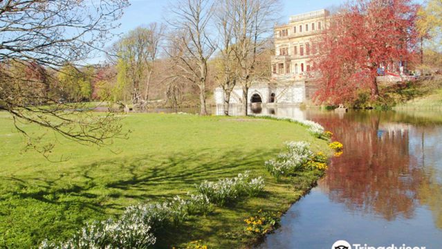 Elswout wandel-park van Staatsbosbeheer