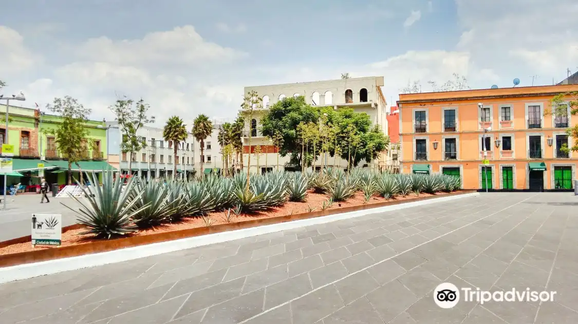 Hotels near Garibaldi Square