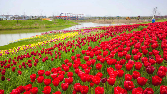 Mianzhou Baiwanhuahai Sceneic Area