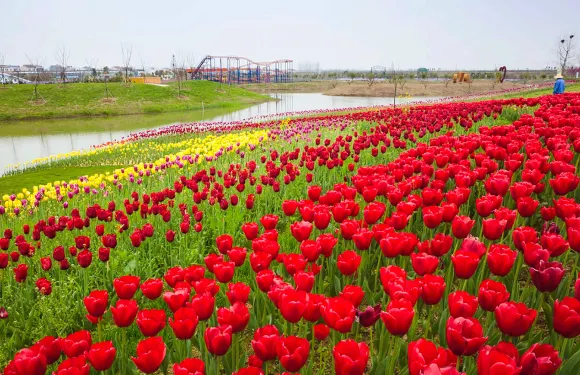 沔州百萬花海風景區門票+垂釣卡大小同價