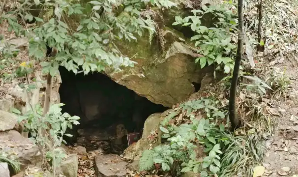 Hotel berhampiran Python Hole