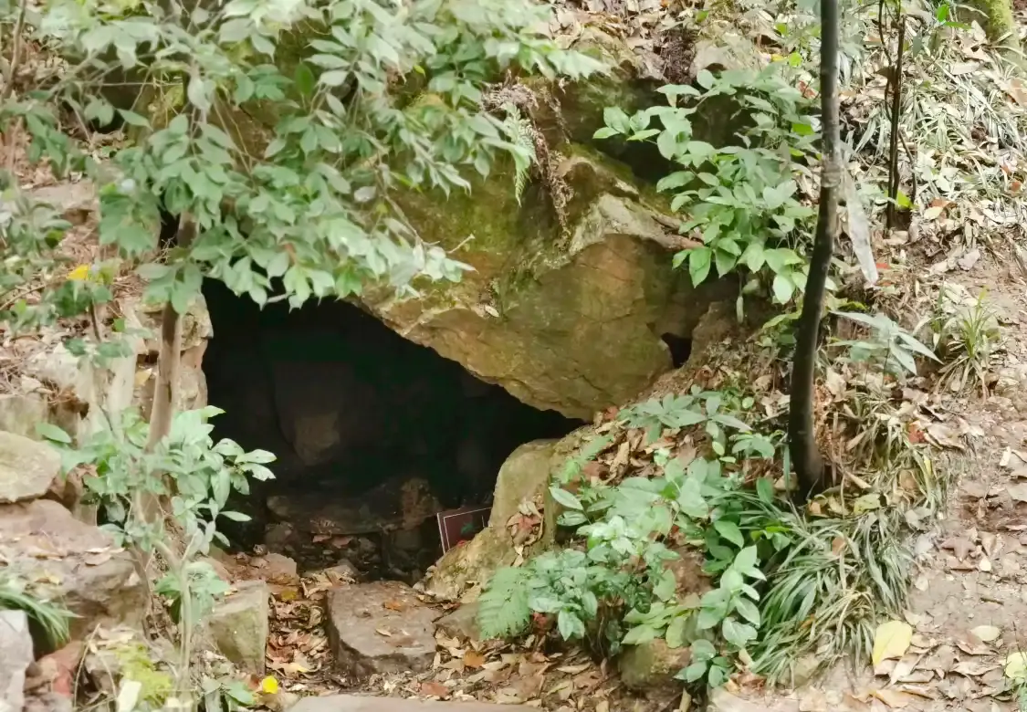 Hotels near Python Hole