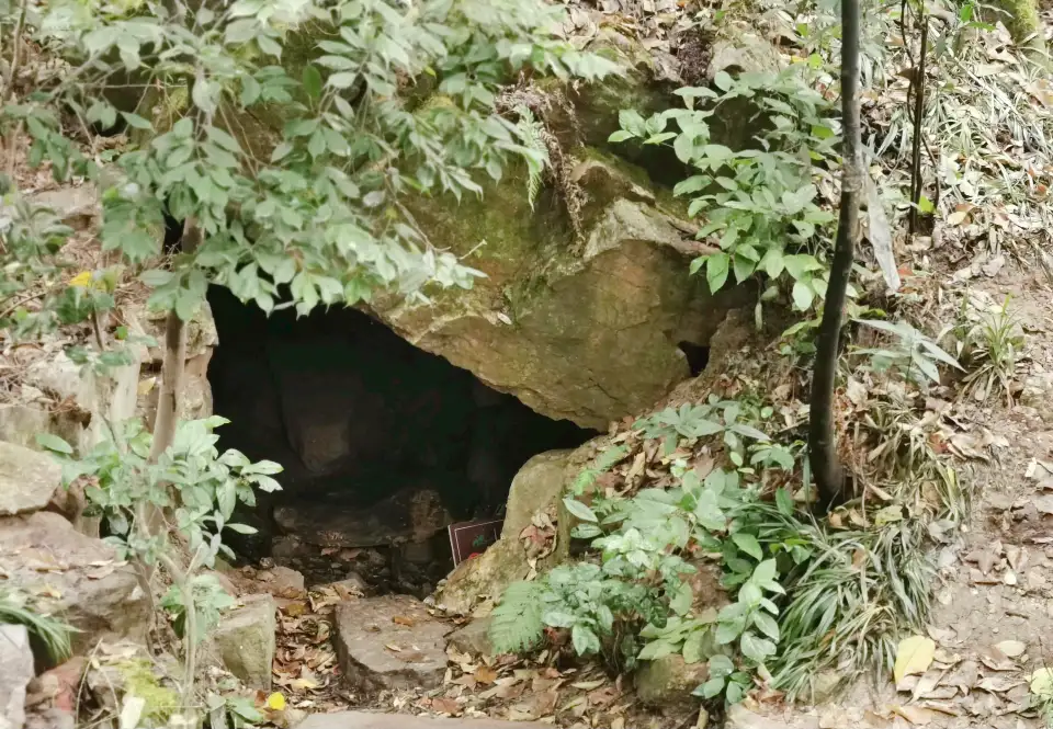 Python Hole