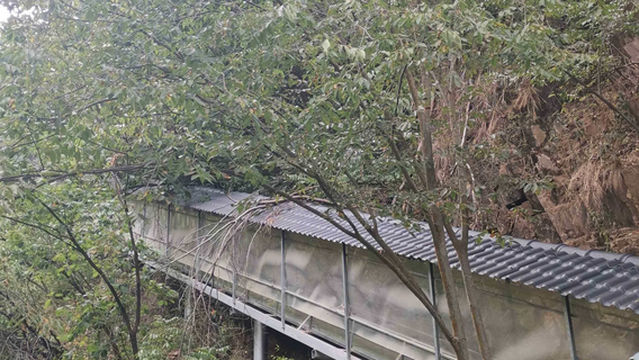 Glass Slide - Next Station