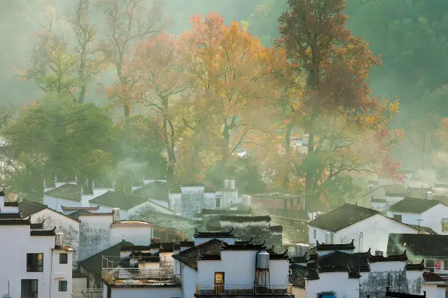 Fall Foliage Sightseeing in Shangrao