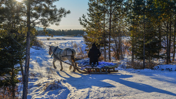 Snow Sledding in Mohe