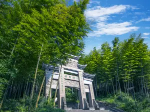 茶山竹海