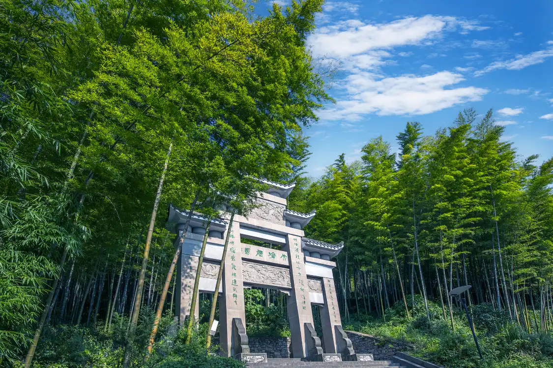 Hotels near Tea Mountain and Bamboo Forest
