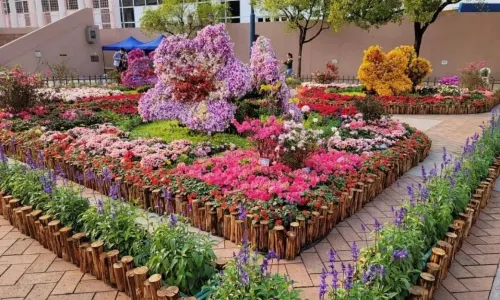 Kowloon Park