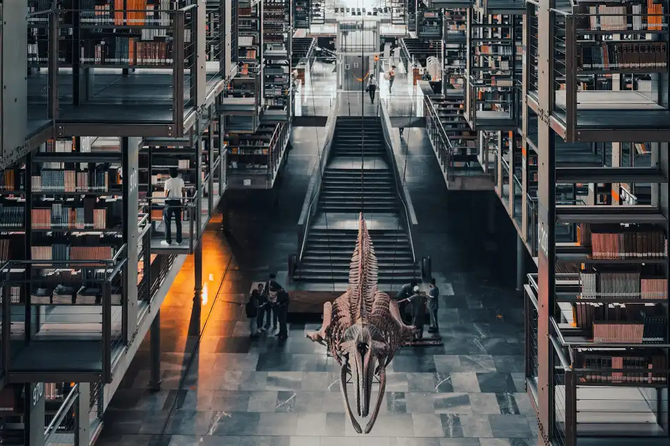 3_Vasconcelos library