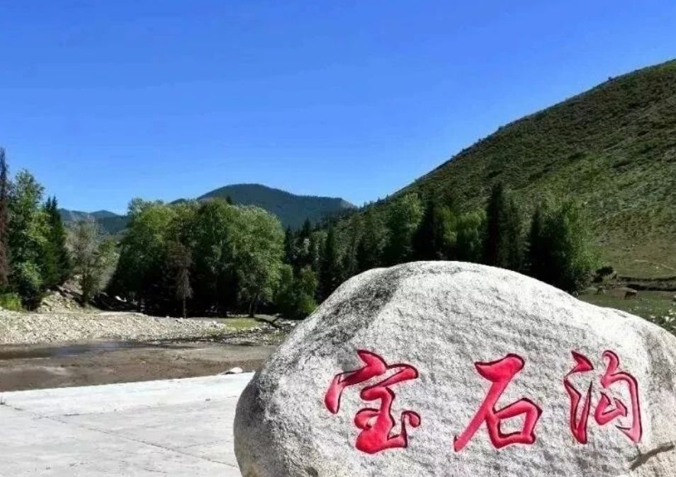 bao shi gou