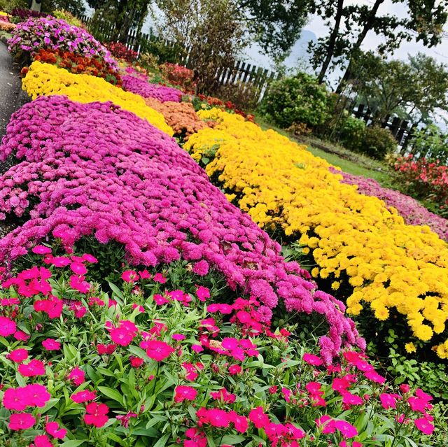 【大分】くじゅう花公園