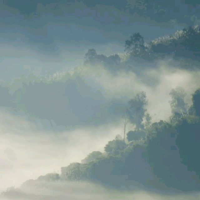 จุดชมวิวทะเลหมอก​ วิวหลักล้าน