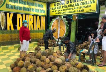 UCOK DURIAN MEDAN user photo