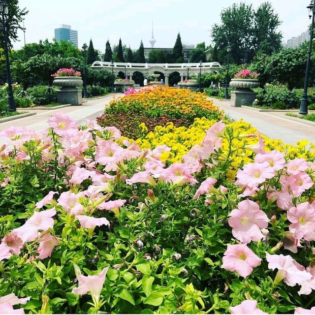 Tianjin- an underrated city 