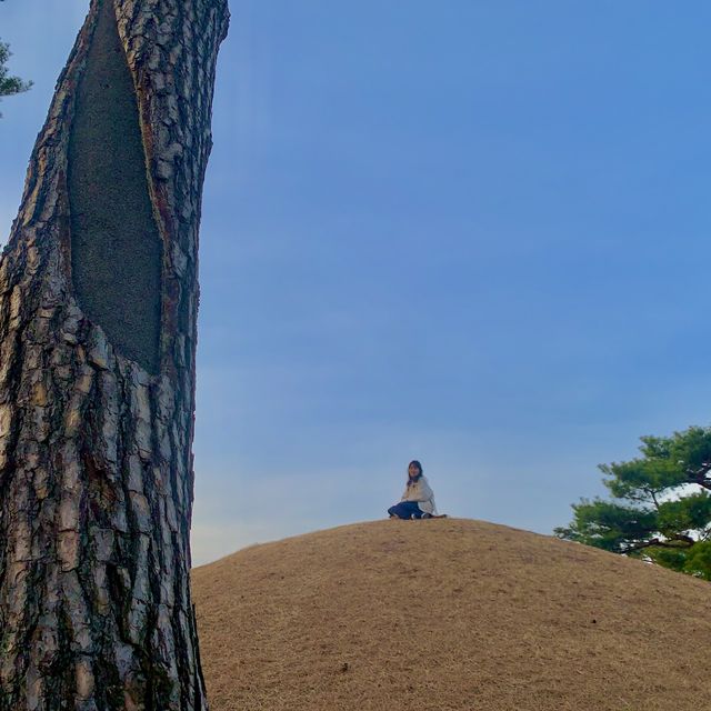 경주엑스포공원, 경주