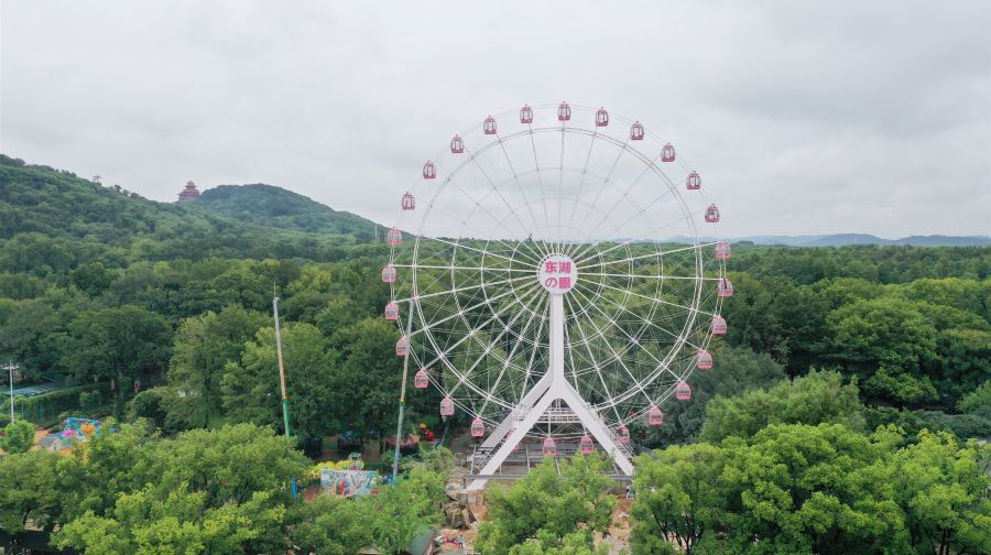 【2-6人小團】東湖之眼摩天輪+東湖綠道+武漢大學夜遊