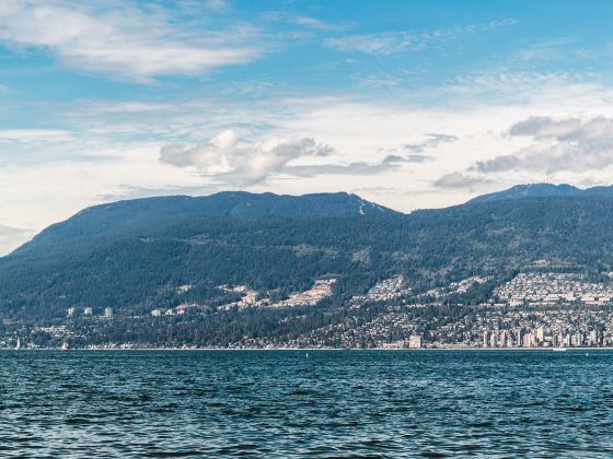 Kitsilano Beach