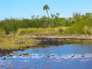 Kakadu National Park