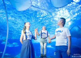 多彩貴州城極地海洋世界