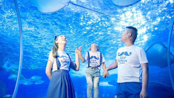 เมืองกุ้ยโจวที่มีสีสันโลกเหนือทะเลโลก