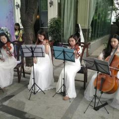 MAISON FLO User Photo