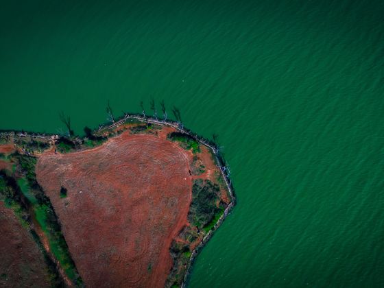 Xihua Wetland Park