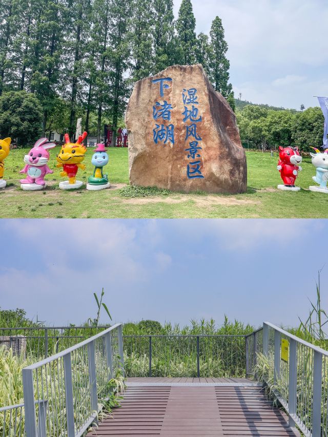 德清下渚湖濕地公園