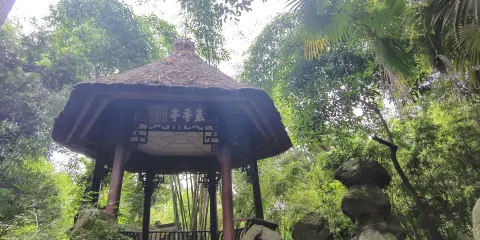 熊貓谷+杜甫草堂+武侯祠一日遊【包車團&親子遊&市區接送】