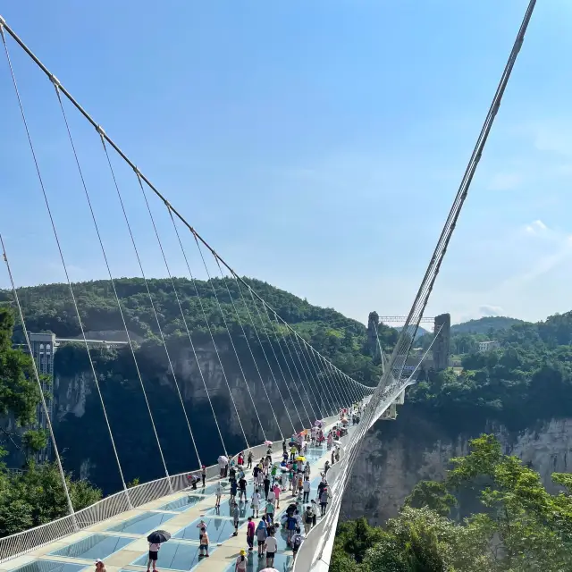 Zhangjiajie - Grand Canyon 