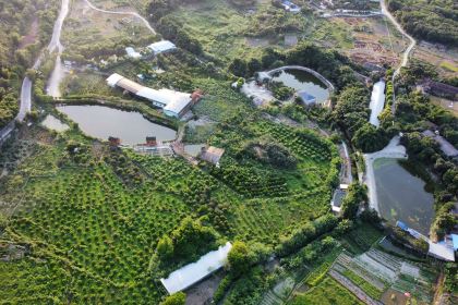 花花休闲农场(集成店)