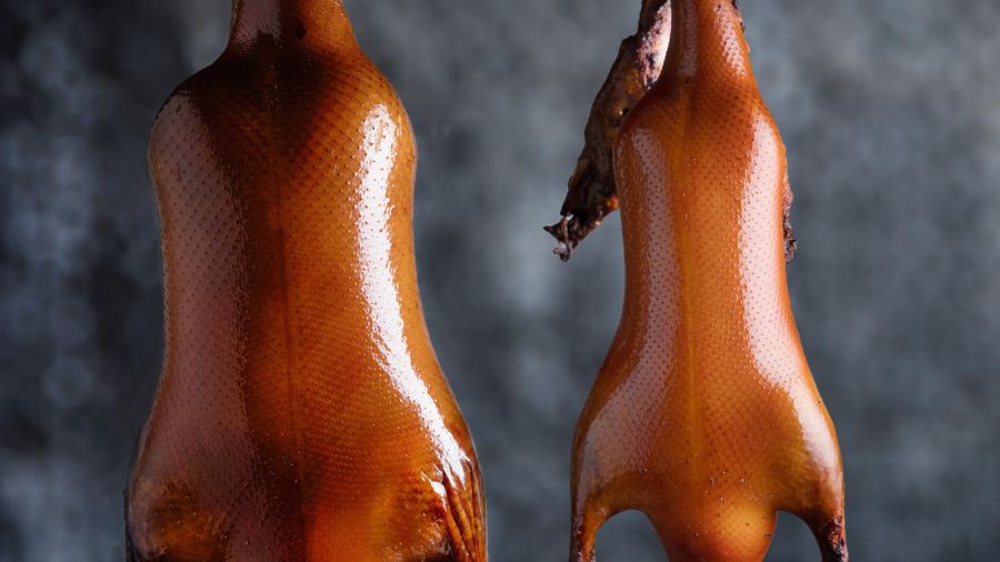 Gastro Esthetics at DaDong