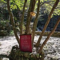 評論圖片 4