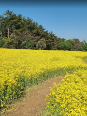 Hangpaduri Hangmong Historic Site