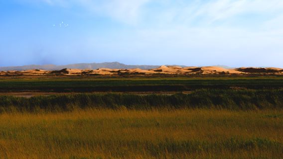 Longyou Bay National Wetland Park