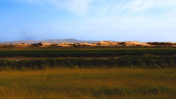 Wuhaishi Longyouwan Wetland Park