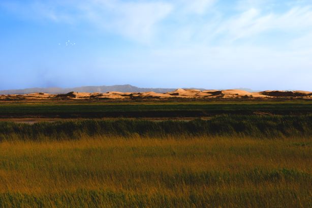 Longyou Bay National Wetland Park