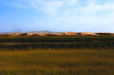 Longyou Bay National Wetland Park
