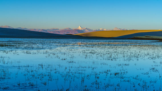 Jiema Yangzong Bingchuan