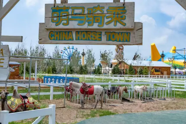 Horse Riding in Chengde