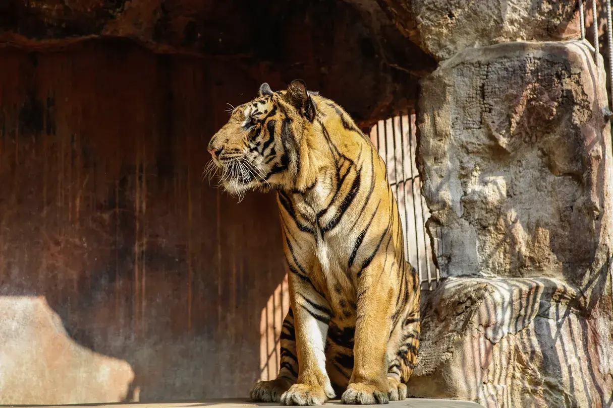 5_黑水王射擊俱樂部