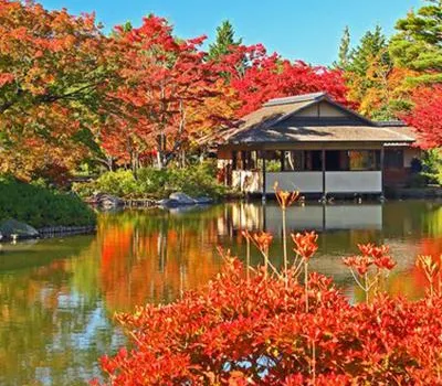 【東京紅葉 2026】最佳觀賞時間&人氣賞楓景點推介！附關東紅葉攻略