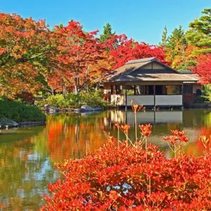 【東京紅葉 2026】最佳觀賞時間&人氣賞楓景點推介!附關東紅葉攻略