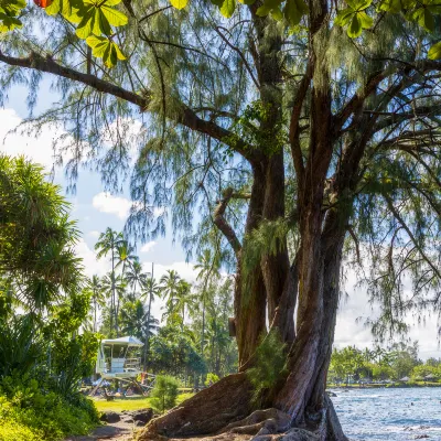 Kailua-Kona to Alice Springs Flights