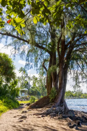 Kona Reef, A Raintree Vacation Club Resort