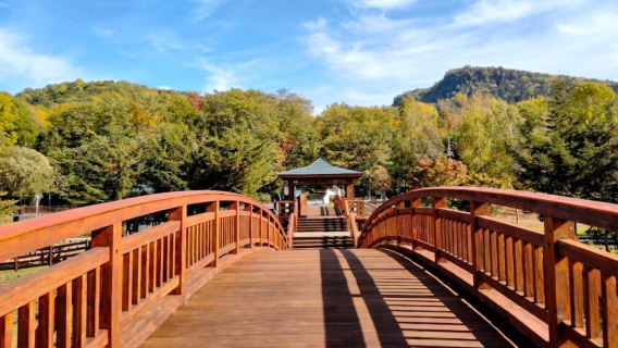 Asahikawa 21 Century Forest